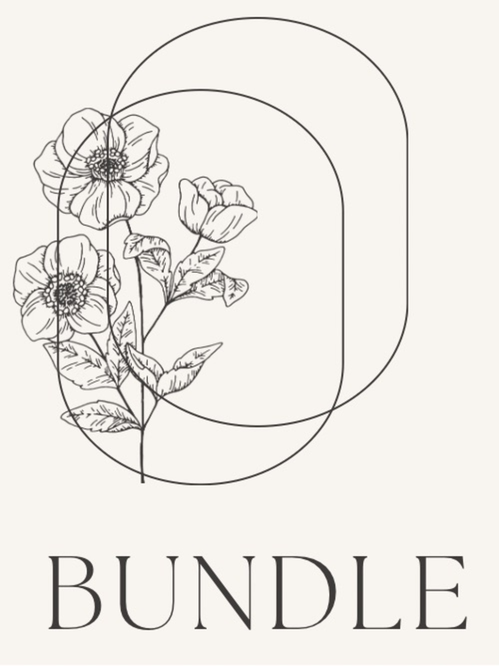 Bundle for LISA